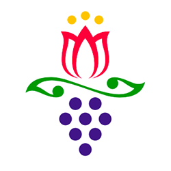 LOGO_VS_23824